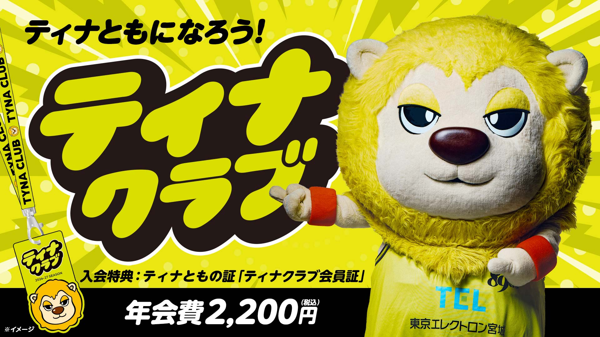 ティナともになろう！「ティナクラブ」会員大募集！